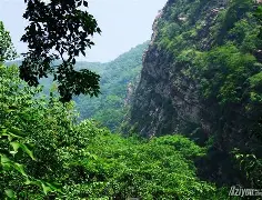 mk网页版入口 -+?惾(纵的拼音)