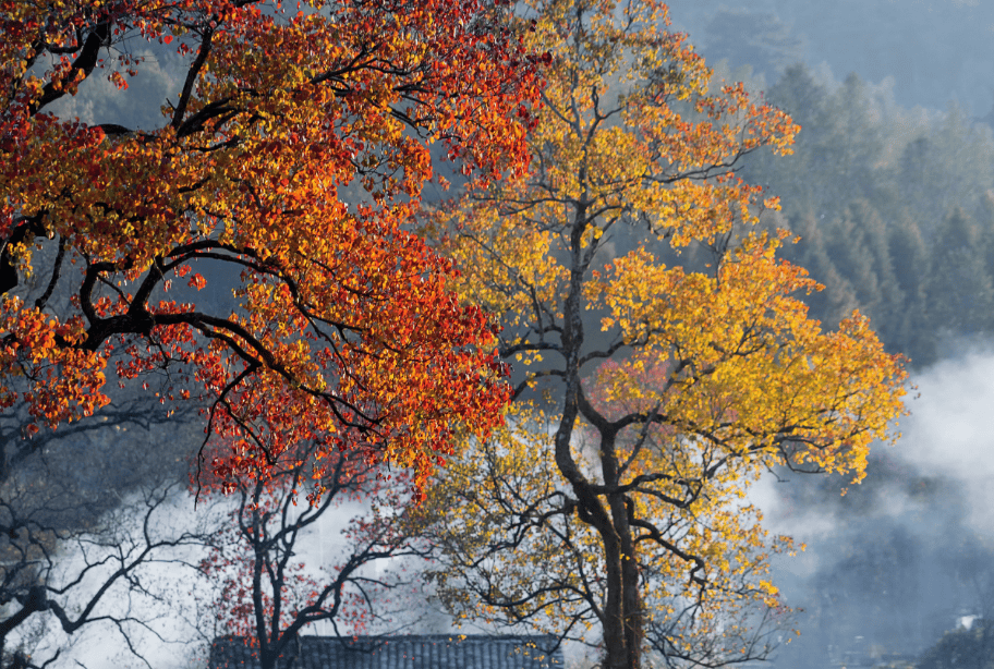 mk娱乐平台 -惠云眼综合服务平台