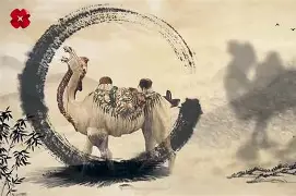 mk网站入口 -用户xfntyo8shp